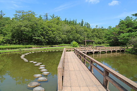 阿山ふるさとの森